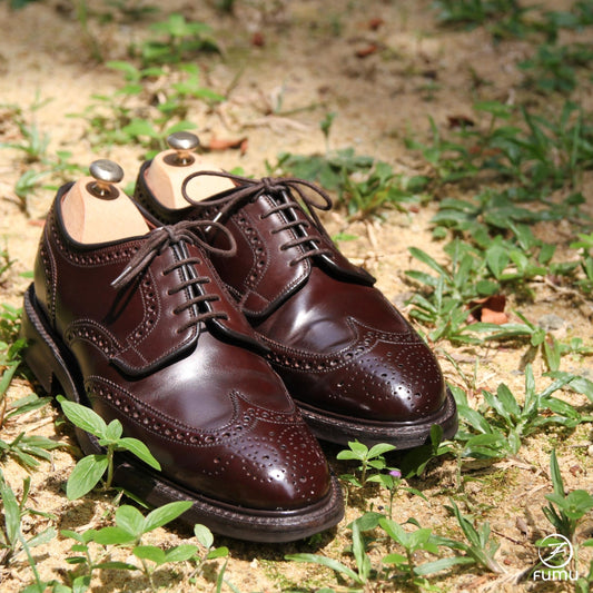 Shoe Shine: Mouldy Cordovan